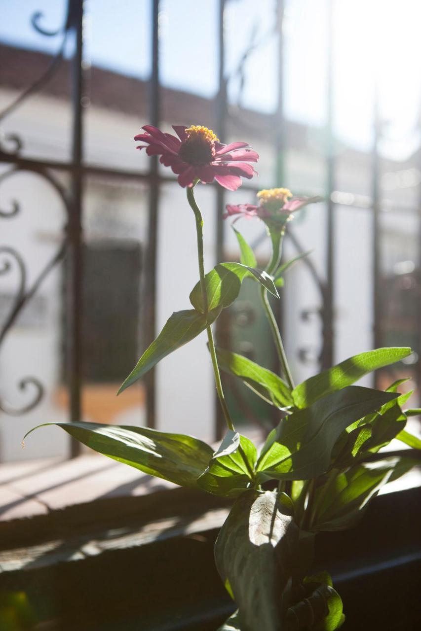 Cafe Mompox - Colonial House Apartment Ngoại thất bức ảnh